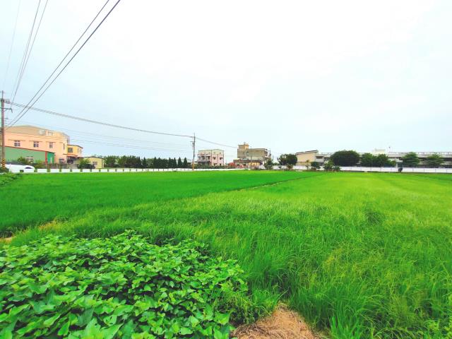 彰化埔鹽農地-5