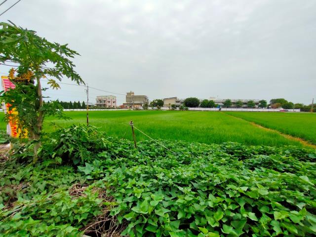 彰化埔鹽農地-6