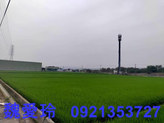 彰化芬園農地-1