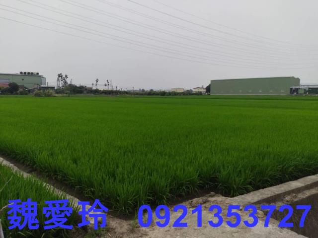 彰化芬園農地-5