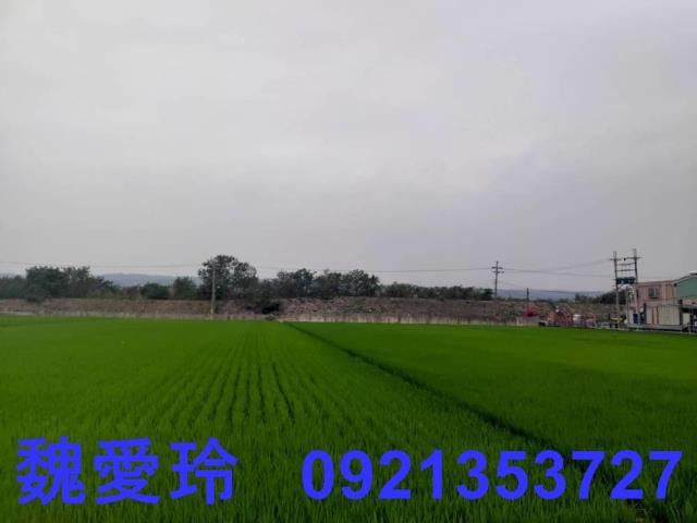 彰化芬園農地-6