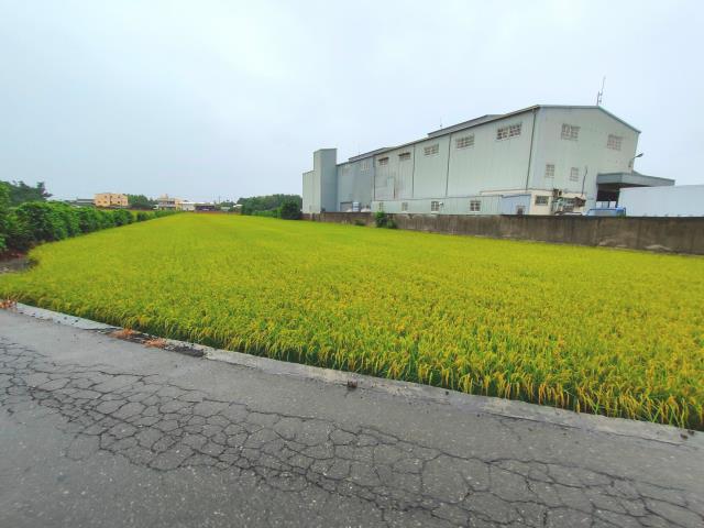 二林農地-2