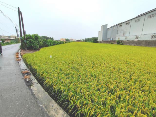 二林農地-3