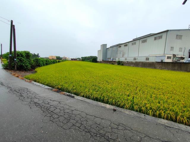 二林農地-4