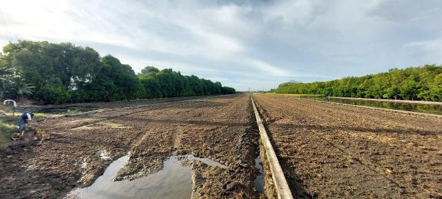 彰化溪州農地-2