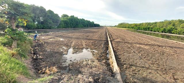 彰化溪州農地-3