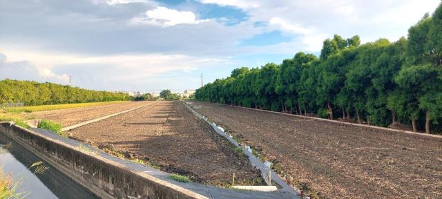 彰化溪州農地-4