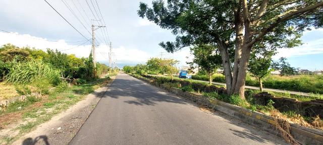 彰化溪州農地-6