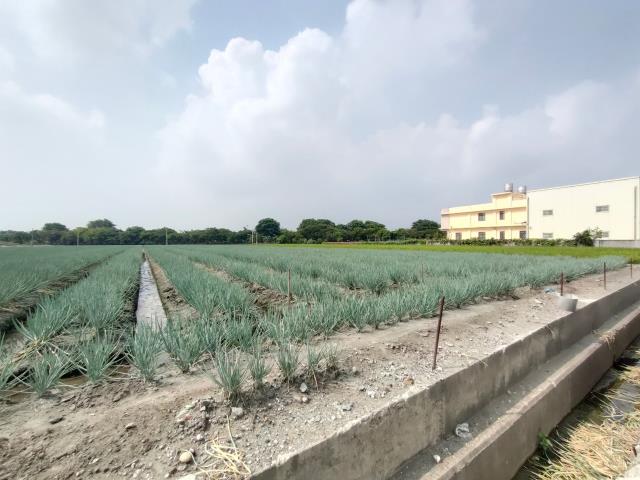 彰化埔鹽農地-2