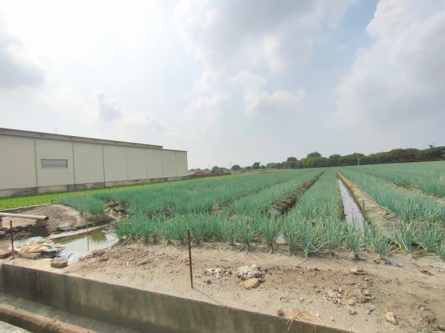 彰化埔鹽農地-3