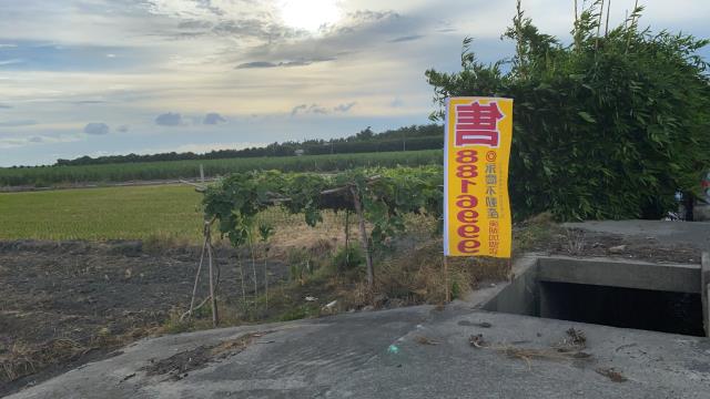 埤頭農地-2