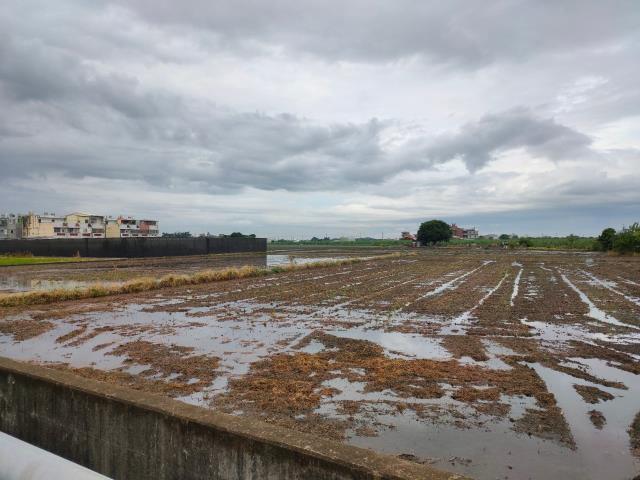 埤頭農地-4