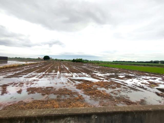 埤頭農地-7