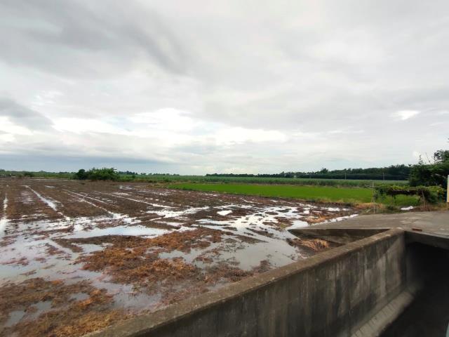 埤頭農地-8