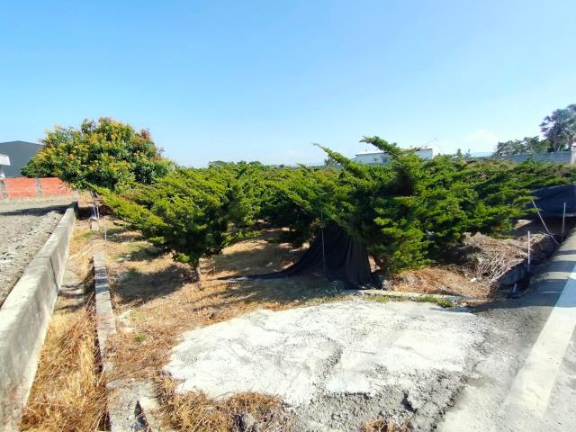 彰化埔心農地-4