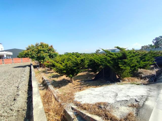 彰化埔心農地-5