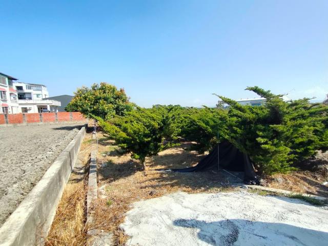 彰化埔心農地-9