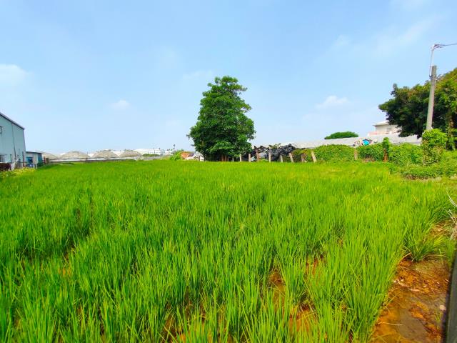 溪湖農地-3