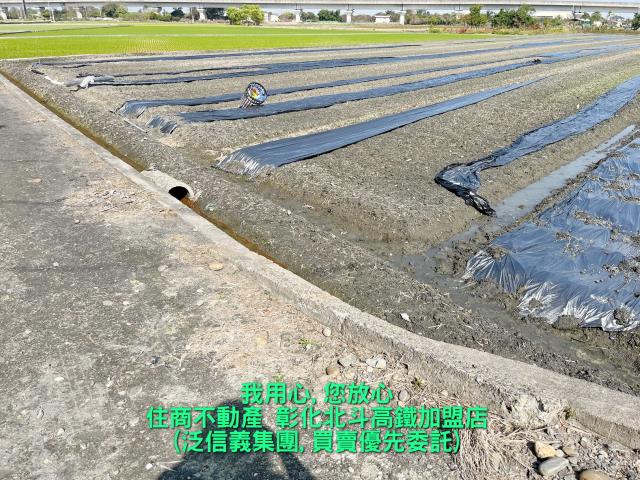 彰化溪州農地-0