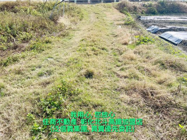 彰化溪州農地-1