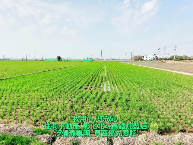 彰化埤頭農地-1