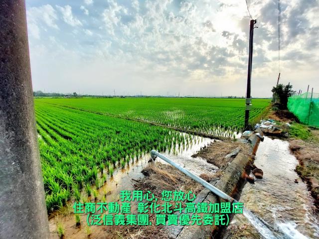 彰化埤頭農地-2