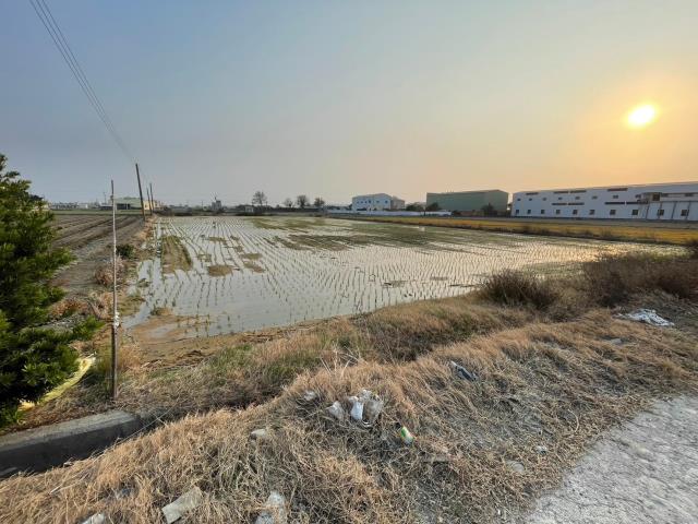 彰化埔鹽農地-2