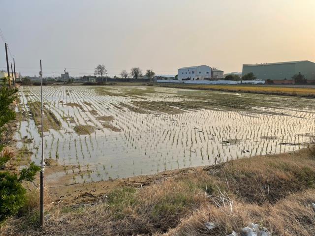 彰化埔鹽農地-3