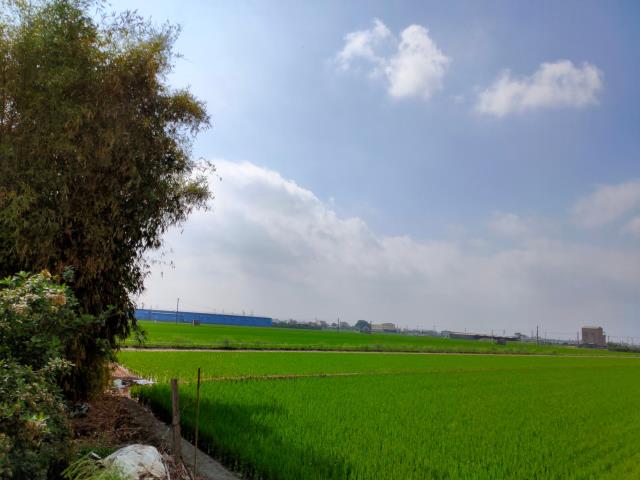 彰化二林農地-10