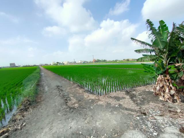 彰化二林農地-0