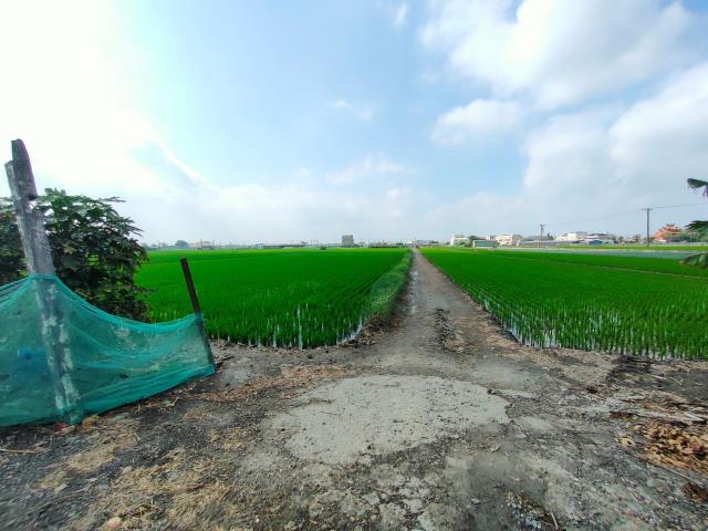 彰化二林農地-2