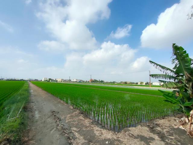 彰化二林農地-5