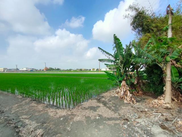 彰化二林農地-6
