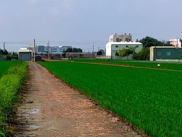 彰化二林農地-7
