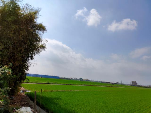 彰化二林農地-9