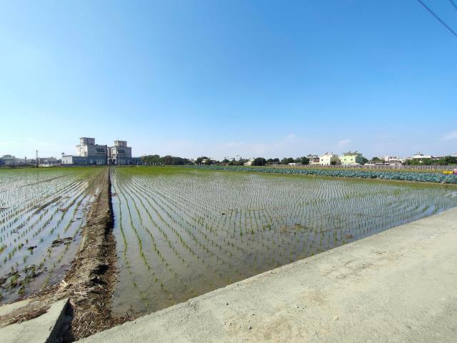 彰化竹塘農地-0