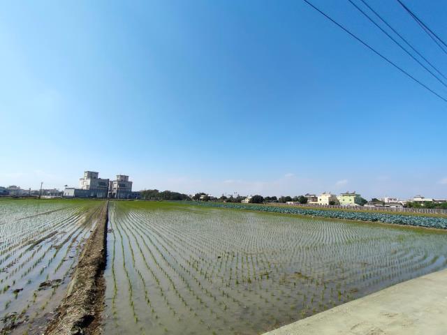 彰化竹塘農地-1