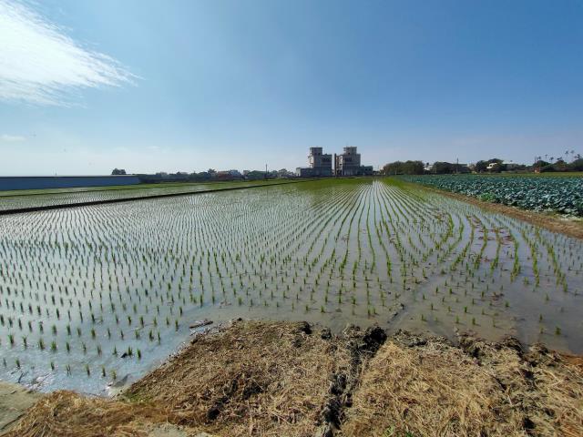 彰化竹塘農地-2