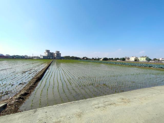 彰化竹塘農地-3