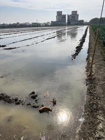 彰化竹塘農地-5