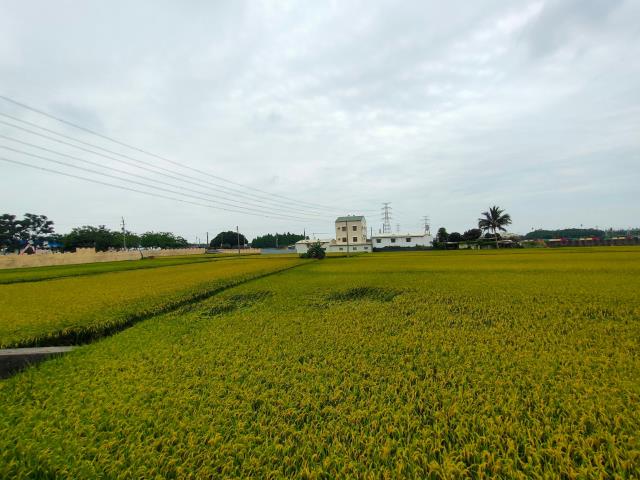 彰化社頭農地-2
