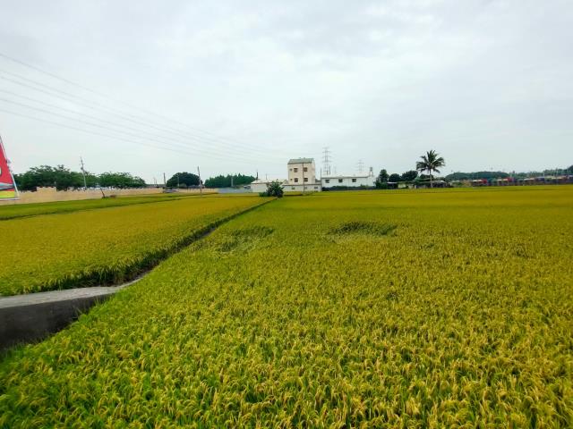 彰化社頭農地-4
