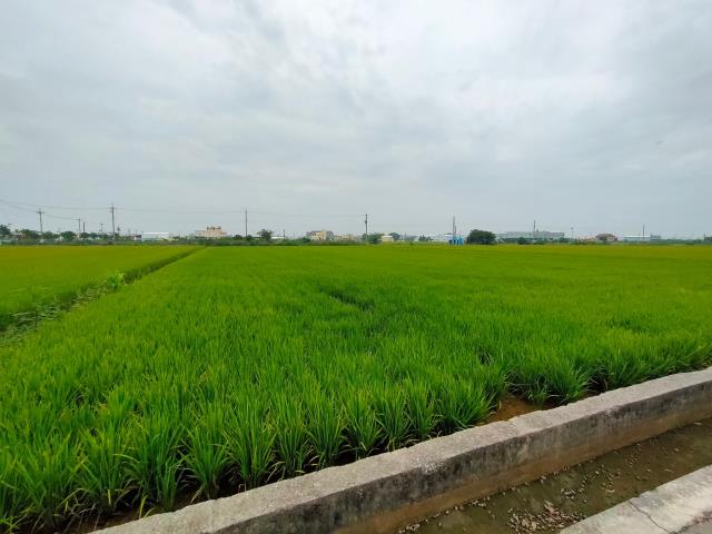 彰化農地-1
