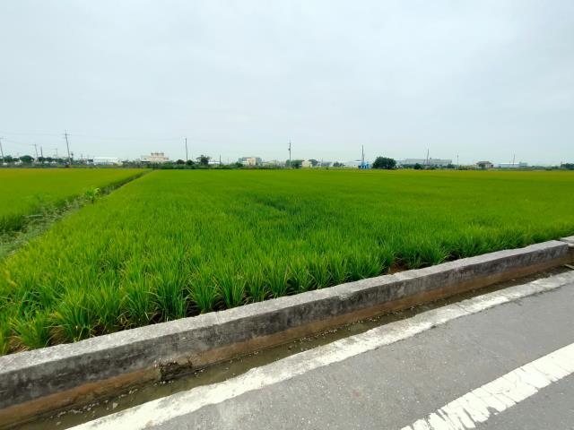 彰化農地-2