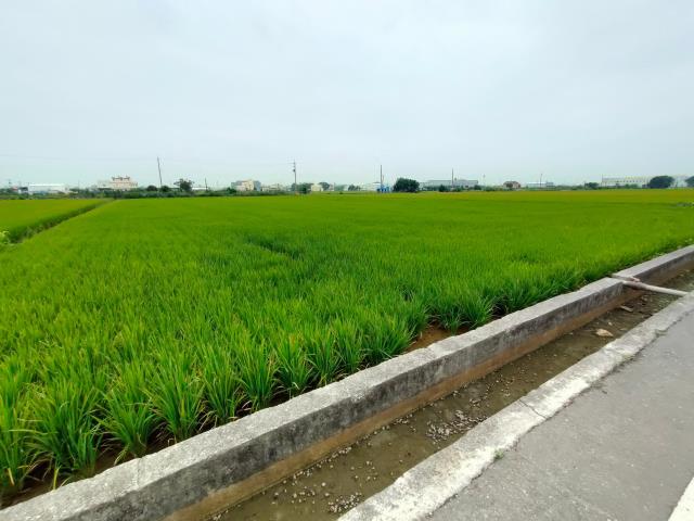 彰化農地-4