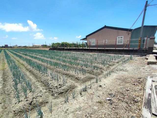 埔鹽農地-2
