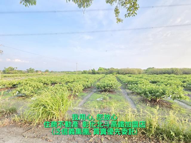 彰化溪州農地-0