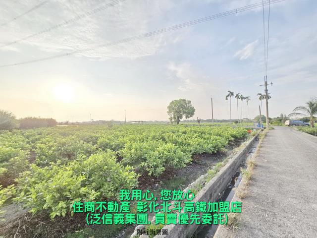 彰化溪州農地-2