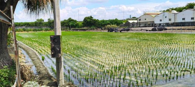 彰化溪湖農地-0