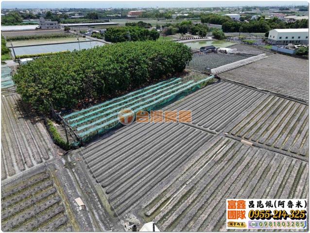 彰化溪湖農地-4